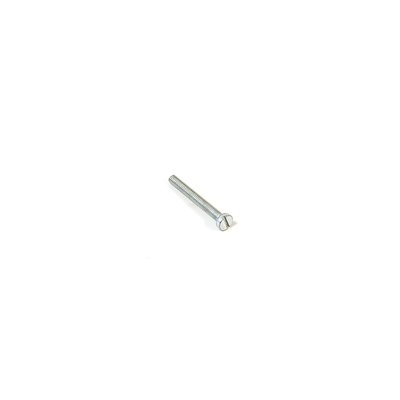 10 Cheese Head Slotted Screws M2.5x20