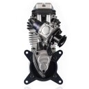 Valach Motors VM 70S1-4T with brushless starter