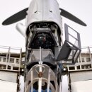 Messerschmitt Bf 109 G static model 1:16 museum scale kit